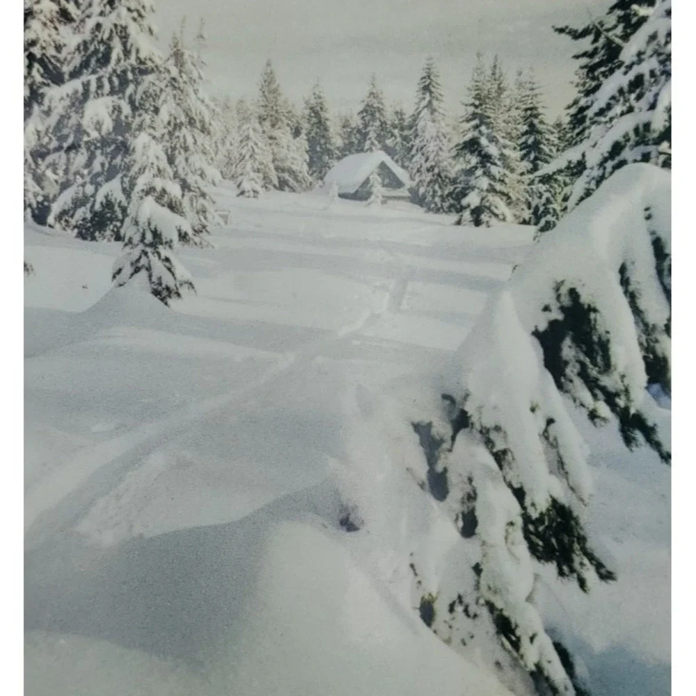11 Old Vintage Used‎ Christmas Card Fronts for Crafts Winter Snow Country Woods